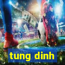 tung dinh