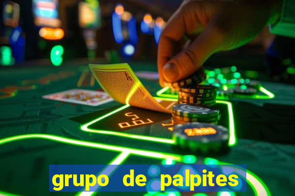 grupo de palpites de futebol whatsapp