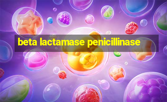 beta lactamase penicillinase