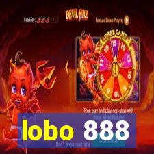 lobo 888