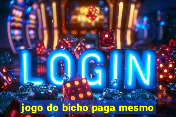 jogo do bicho paga mesmo