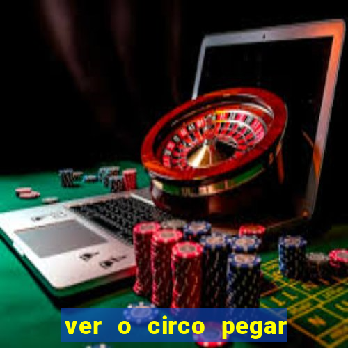 ver o circo pegar fogo significado