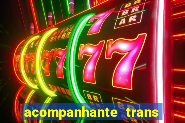 acompanhante trans baixada fluminense