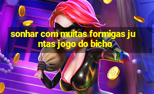 sonhar com muitas formigas juntas jogo do bicho