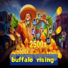 buffalo rising megaways slots