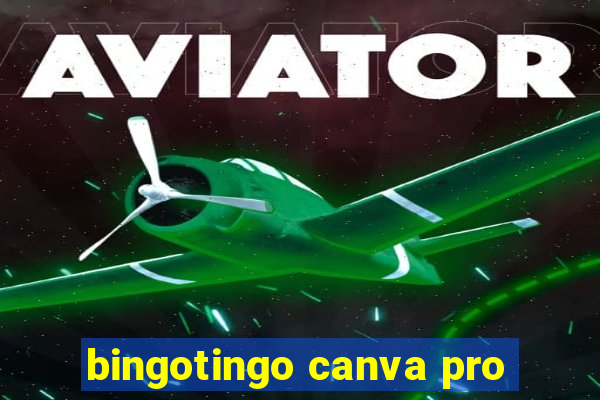 bingotingo canva pro