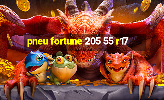 pneu fortune 205 55 r17