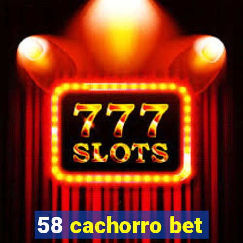 58 cachorro bet