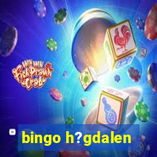 bingo h?gdalen