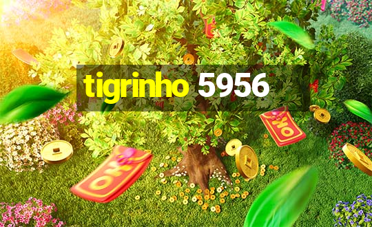 tigrinho 5956