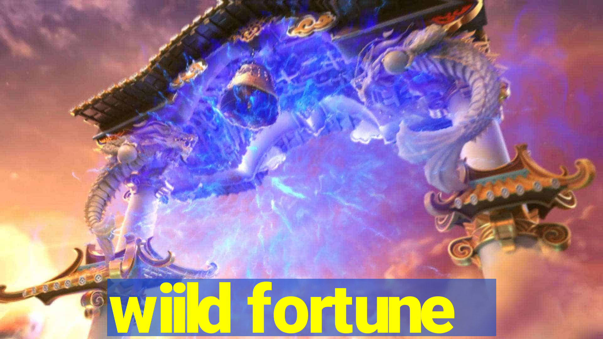 wiild fortune