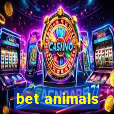 bet animals