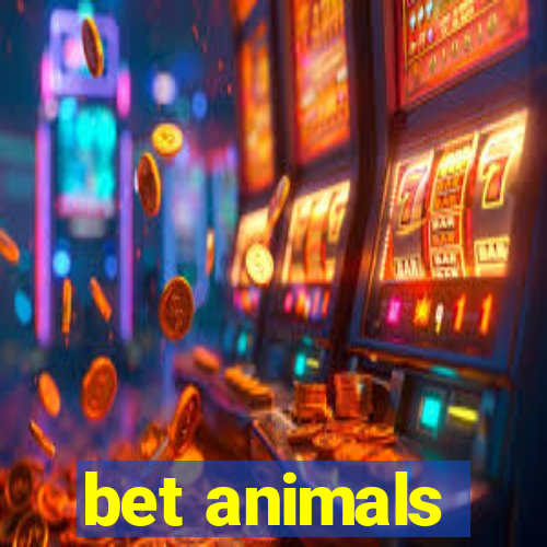 bet animals