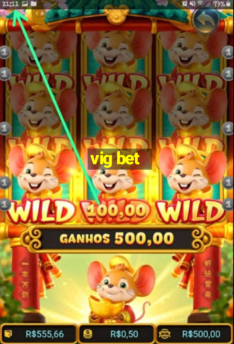 vig bet