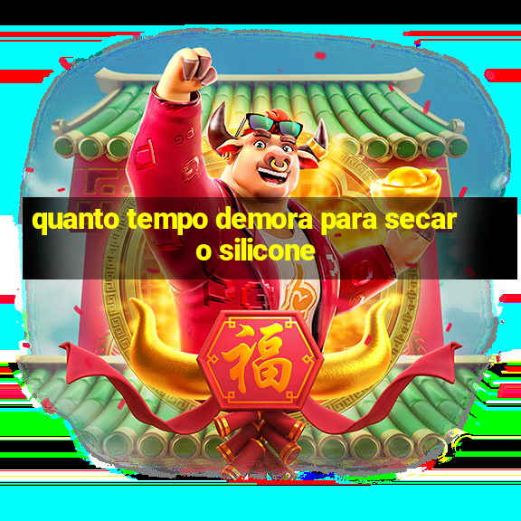 quanto tempo demora para secar o silicone