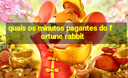 quais os minutos pagantes do fortune rabbit