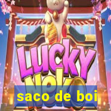 saco de boi