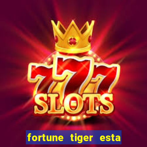 fortune tiger esta pagando hoje