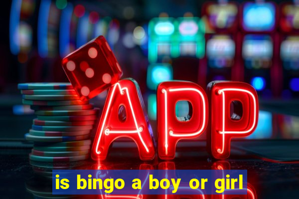 is bingo a boy or girl