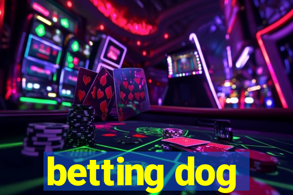 betting dog