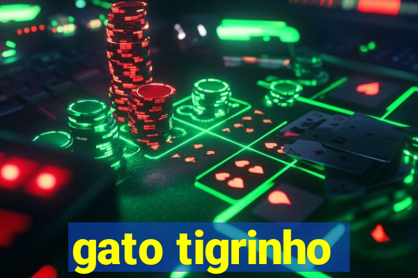 gato tigrinho