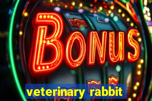 veterinary rabbit