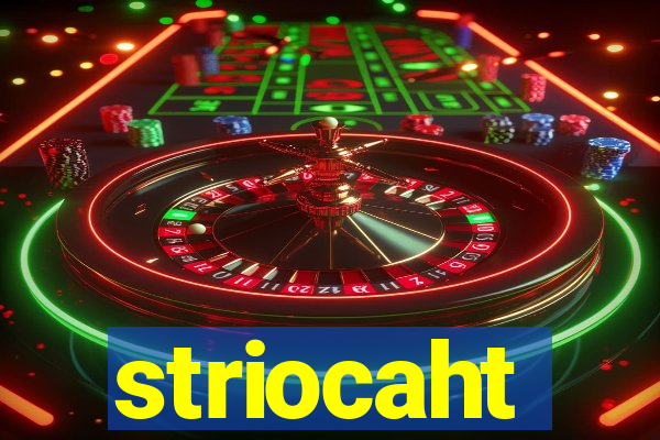 striocaht