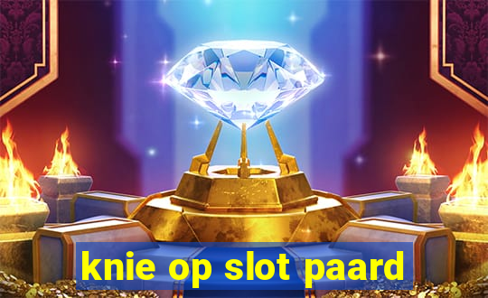 knie op slot paard