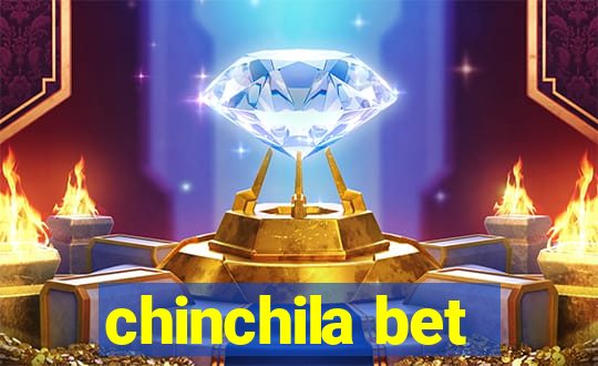 chinchila bet