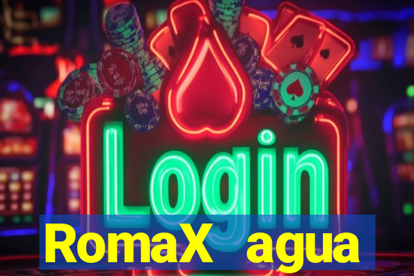 RomaX agua sanitaria fispq agua sanitaria romax