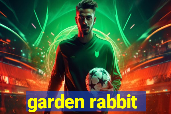 garden rabbit