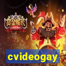 cvideogay