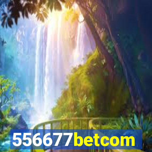 556677betcom