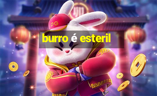 burro é esteril