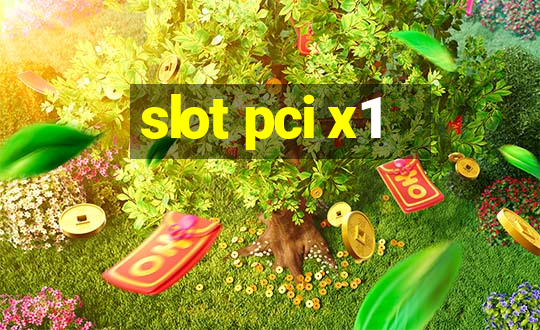 slot pci x1