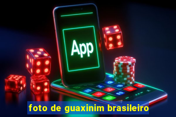 foto de guaxinim brasileiro