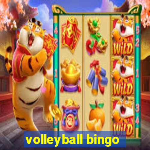 volleyball bingo