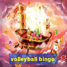 volleyball bingo