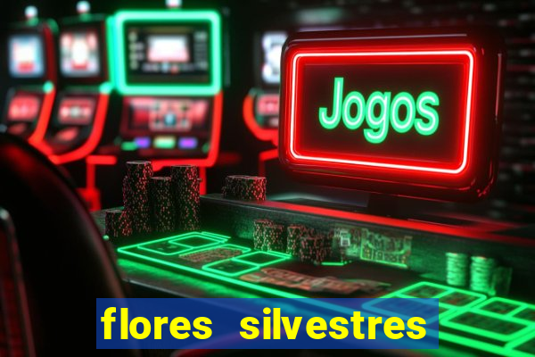 flores silvestres desbravadores desbravadores 25 flores silvestres e seus nomes