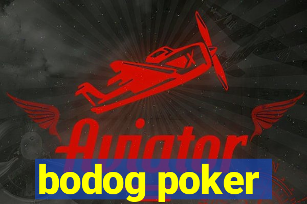 bodog poker