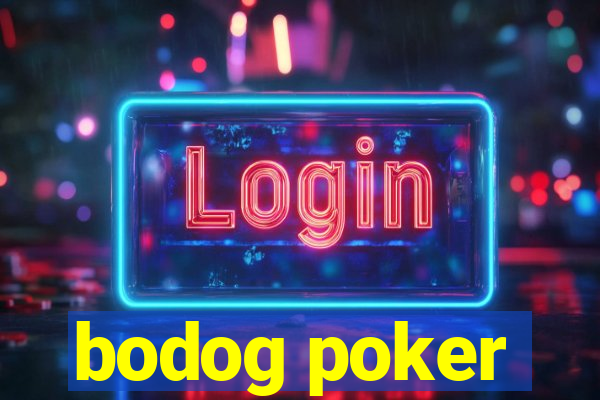 bodog poker