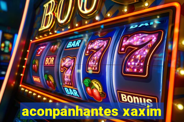 aconpanhantes xaxim