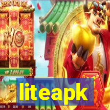 liteapk