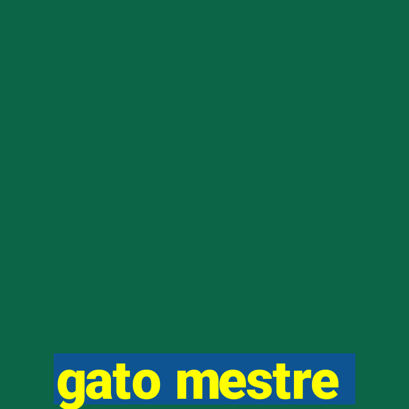 gato mestre