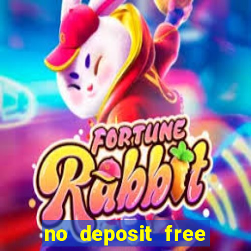 no deposit free bingo bonus