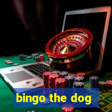 bingo the dog