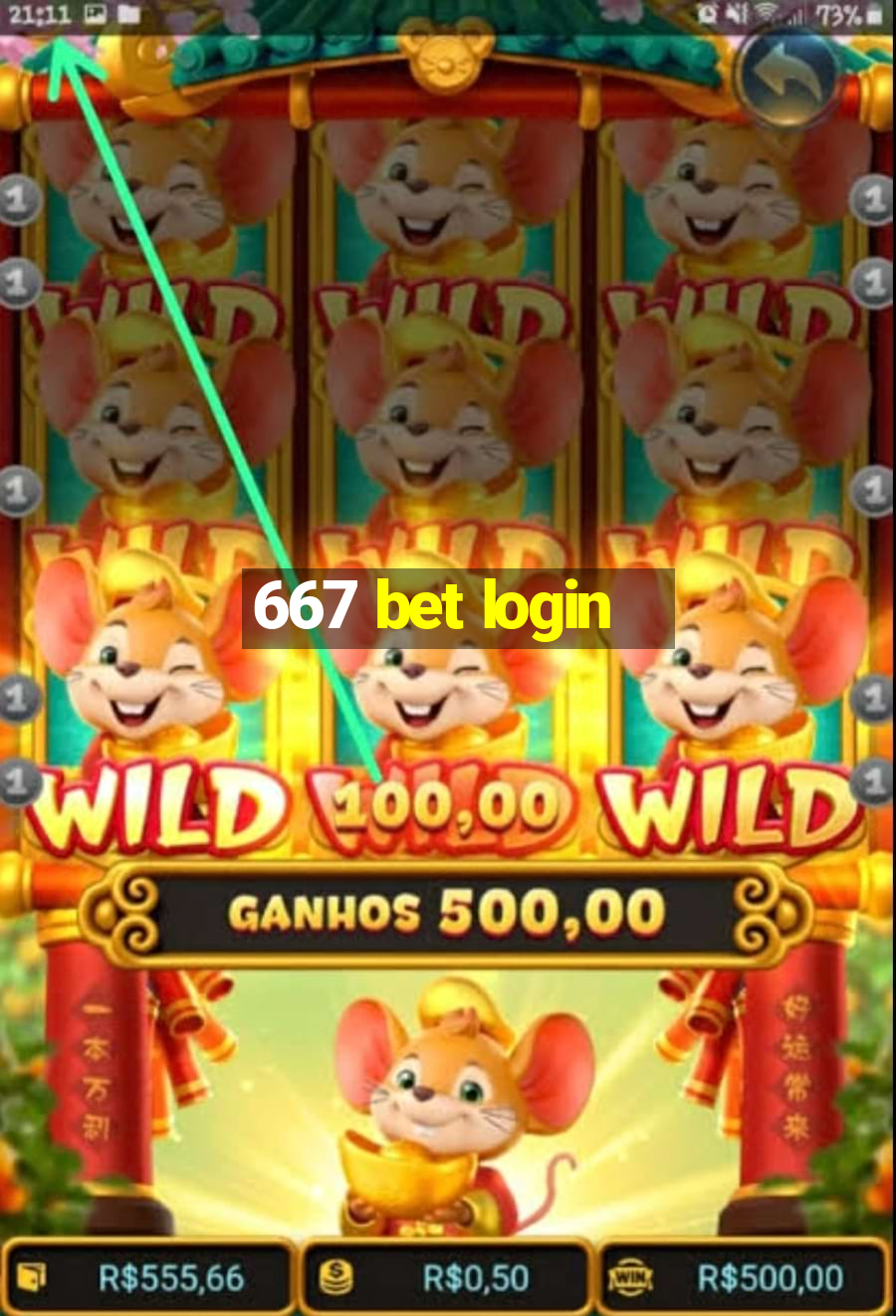 667 bet login