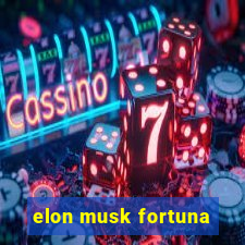 elon musk fortuna