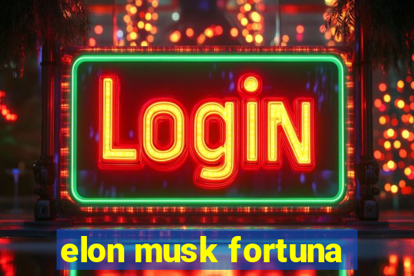 elon musk fortuna