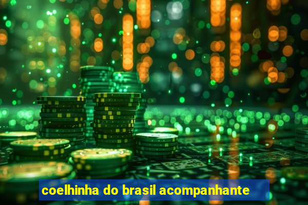 coelhinha do brasil acompanhante